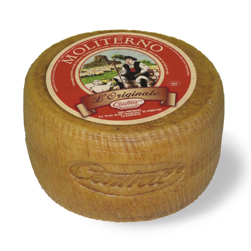 Moliterno